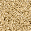 MIYUKI Delica Beads X-SEED-J020-DB1571-3