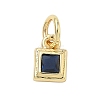 Brass Pave Cubic Zirconia Pendants LS-KK-K368-13G-05-1