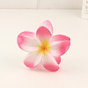 Plastic Claw Hair Clip LS-OHAR-PW0003-036E-1