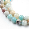 Natural Flower Amazonite Beads Strand G-E487-49-3