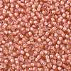 TOHO Round Seed Beads X-SEED-TR11-0924-2