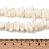 Natural White Mother of Pearl Shell Chip Bead Strands X-G-M205-63-6
