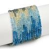 Natural Blue Green Yellow Apatite Beads Strands G-NH0050-B01-01-2