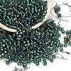TOHO 6/0 Round Beads X-SEED-TR06-0270-1