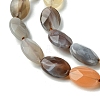 Natural Botswana Agate Beads Strands G-H004-B02-03-4