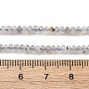 Natural Labradorite Beads Strands G-RM2025-D17-B-5