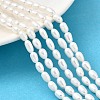 Natural Cultured Freshwater Pearl Beads Strands PEAR-I007-01P-05-1