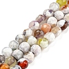 Dyed Natural Fire Crackle Agate Beads Strands G-G007-01D-1