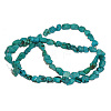 Natural Turquoise Beads Strands X-G344-8-1
