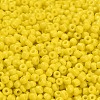 8/0 Glass Seed Beads X2-SEED-A010-3mm-42-3