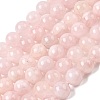 Natural Madagascar Rose Quartz Beads Strands G-B167-A04-10mm-2