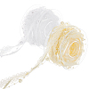 2 Rolls 2 Colors Plastic Imitation Pearl Beaded Trim OCOR-FG0002-06-1