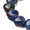 Natural Sodalite Beads Strands G-B022-36C-4