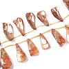 AB Color Plated Dyed Natural Freshwater Shell Beads Strands SHEL-T020-55E-1