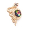 Snake Alloy Rhinestone Brooches JEWB-E041-03KCG-1