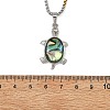 Natural Paua Shell 304 Stainless Steel Tortoise Pendant Two Tone Box Chain Necklaces for Women NJEW-JN06190-3