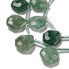 Natural Green Strawberry Quartz Beads Strands G-P544-C09-01-3