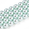 Glass Pearl Beads Strands HY-G002-01E-12-1