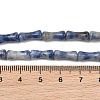 Natural Blue Spot Jasper Beads Strands GG-CBAEB22-A04-01-5