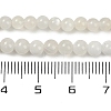 Natural White Moonstone Beads Strands X-G-D294-4mm-02-2