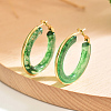 201 Stainless Steel Acrylic Hoop Earrings for Women IG1029-6-1