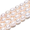 Natural Cultured Freshwater Pearl Beads Strands PEAR-N012-05K-3