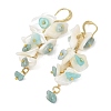 Natural Amazonite & Natural Shell Dangle Earrings for Women EJEW-JE07385-4
