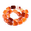 Natural Agate Beads Strands G-N356-03A-17-3