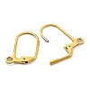 Ion Plating(IP) 304 Stainless Steel Leverback Earring Findings X-STAS-P360-02B-G-2