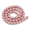 Electroplated Shell Pearl Beads Strands X-BSHE-G041-8mm-05-4