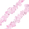 Transparent Glass Beads Strands GLAA-Z009-01K-1