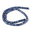 Natural Blue Spot Jasper Beads Strands G-Z006-C07-2