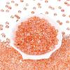 Transparent Colours Glass Seed Beads SEED-Q042-01A-A04-2