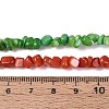 Natural Freshwater Shell Beads Strands SHEL-N037-04A-5