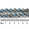 Electroplate Transparent Glass Beads Strands EGLA-I019-HP01-5