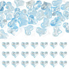 30Pcs Transparent Glass Beads GLAA-TADJ0001-02F-1