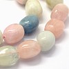 Natural Morganite Beads Strands G-K285-14A-3