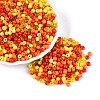 Opaque & Transparent Glass Seed Beads SEED-Q041-06B-1