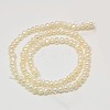 Grade AA Natural Cultured Freshwater Pearl Beads Strands PEAR-L003-C-03-01-X-3