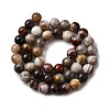 Natural Mexico Crazy Agate Beads Strands G-L615-A01-01-7