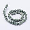 Natural Green Spot Jasper Beads Strands G-F518-26-10mm-2