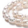 Natural Cultured Freshwater Pearl Beads Strands PEAR-L033-69-2