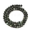 Natural Seraphinite Beads Strands G-K376-A02-5mm-3