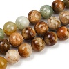 Natural Xiuyan Jade Beads Strands G-F792-C02-03-2
