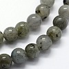 Natural Labradorite Beads Strands G-I199-15-12mm-3