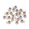 Alloy Enamel Charms PALLOY-TAC0011-29A-04-2