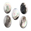 Natural Black Lip Shell Cabochons SSHEL-D084-04A-1