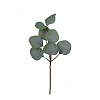 Plastic Artificial Eucalyptus Leaf PW-WGFCE17-04-1