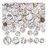 96Pcs 6 Styles Natural Shell Buttons BUTT-PH0001-45-6