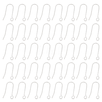 100Pcs 316 Stainless Steel Earring Hooks STAS-UN0041-94-1